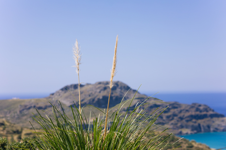 Spring Getaway At Stella Villas! - Stella Villas